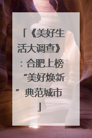 《美好生活大调查》：合肥上榜“美好焕新”典范城市
