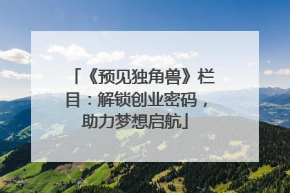 《预见独角兽》栏目：解锁创业密码，助力梦想启航