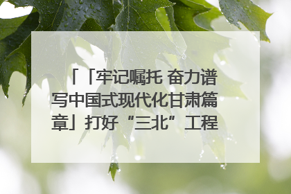 「牢记嘱托 奋力谱写中国式现代化甘肃篇章」打好“三北”工程攻坚战 筑牢国家西部生态安全屏障
