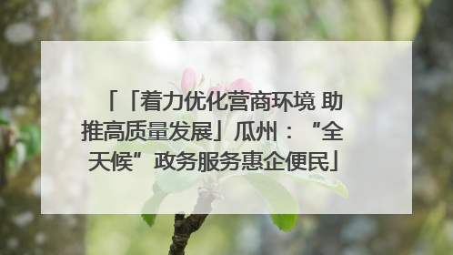 「着力优化营商环境 助推高质量发展」瓜州：“全天候”政务服务惠企便民