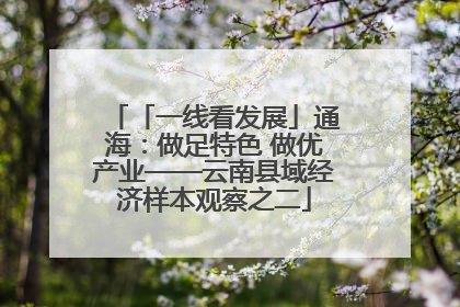 「一线看发展」通海：做足特色 做优产业——云南县域经济样本观察之二