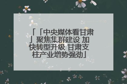 「中央媒体看甘肃」聚焦集群建设 加快转型升级 甘肃支柱产业增势强劲