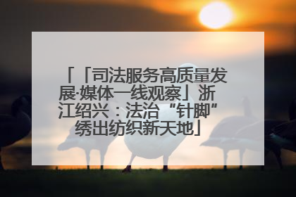 「司法服务高质量发展·媒体一线观察」浙江绍兴：法治“针脚”绣出纺织新天地