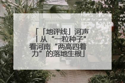 「地评线」河声丨从“一粒种子”看河南“两高四着力”的落地生根
