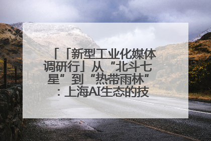 「新型工业化媒体调研行」从“北斗七星”到“热带雨林”：上海AI生态的技术商业共生密码