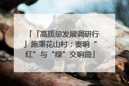 「高质量发展调研行」施秉花山村：奏响“红”与“绿”交响曲