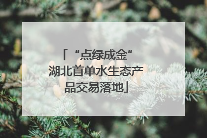 “点绿成金” 湖北首单水生态产品交易落地