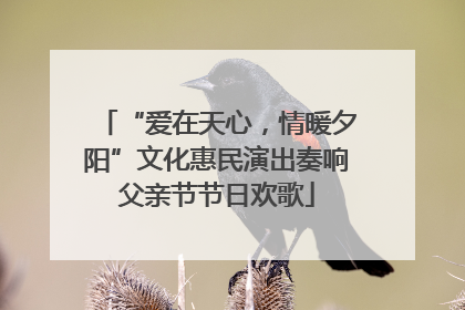 “爱在天心，情暖夕阳”文化惠民演出奏响父亲节节日欢歌