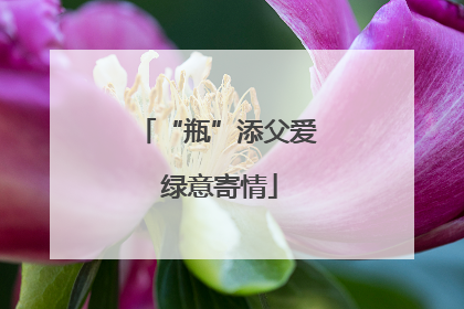 “瓶”添父爱 绿意寄情