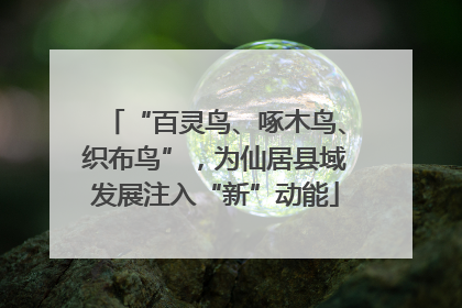 “百灵鸟、啄木鸟、织布鸟”，为仙居县域发展注入“新”动能