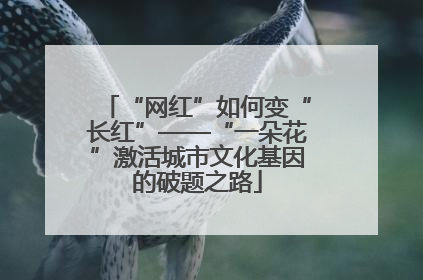 “网红”如何变“长红”——“一朵花”激活城市文化基因的破题之路