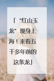 “红山玉龙”现身上海！来看五千多年前的这条龙