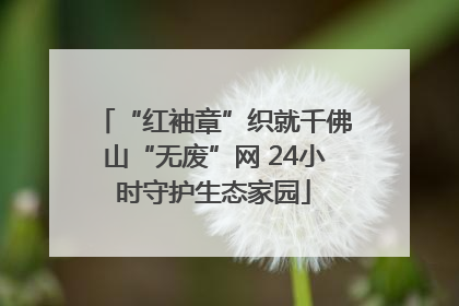 “红袖章”织就千佛山“无废”网 24小时守护生态家园