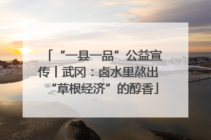 “一县一品”公益宣传丨武冈：卤水里熬出“草根经济”的醇香