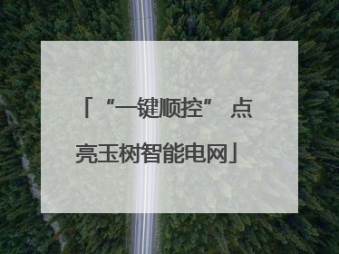 “一键顺控” 点亮玉树智能电网