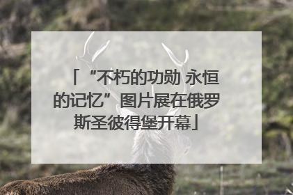 “不朽的功勋 永恒的记忆”图片展在俄罗斯圣彼得堡开幕