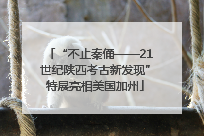 “不止秦俑——21世纪陕西考古新发现”特展亮相美国加州