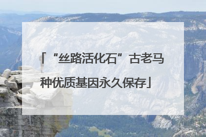 “丝路活化石”古老马种优质基因永久保存