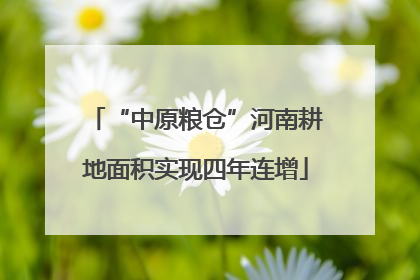 “中原粮仓”河南耕地面积实现四年连增