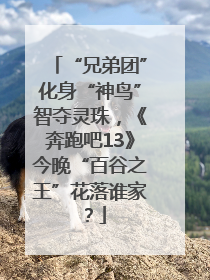 “兄弟团”化身“神鸟”智夺灵珠，《奔跑吧13》今晚“百谷之王”花落谁家？
