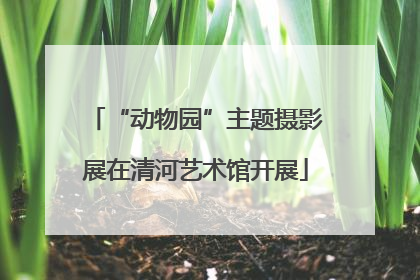 “动物园”主题摄影展在清河艺术馆开展
