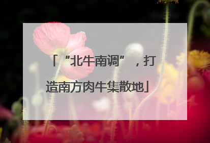 “北牛南调”，打造南方肉牛集散地