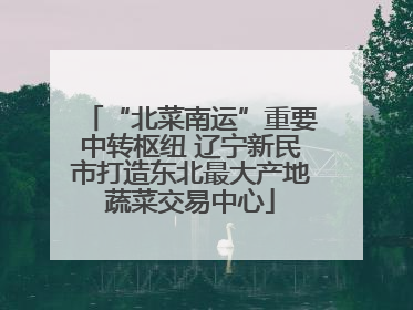 “北菜南运”重要中转枢纽 辽宁新民市打造东北最大产地蔬菜交易中心