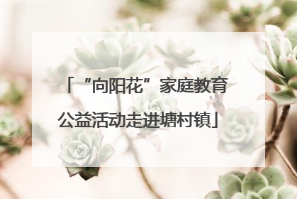 “向阳花”家庭教育公益活动走进塘村镇