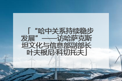 “哈中关系持续稳步发展”——访哈萨克斯坦文化与信息部副部长叶夫根尼·科切托夫