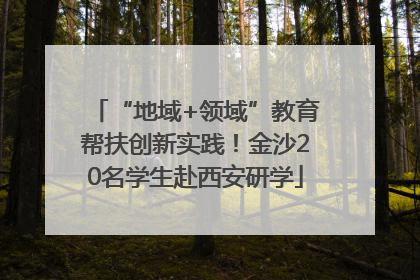 “地域+领域”教育帮扶创新实践！金沙20名学生赴西安研学