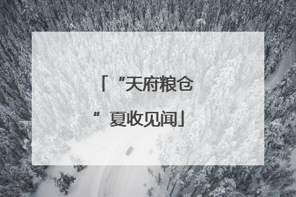 “天府粮仓”夏收见闻