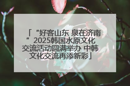 “好客山东 泉在济南”2025韩国水原文化交流活动圆满举办 中韩文化交流再添新彩