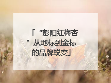 “彭阳红梅杏”从地标到金标的品牌蜕变