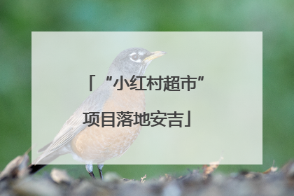“小红村超市”项目落地安吉