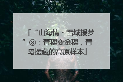 “山海情・雪域援梦”⑧：青稞变金稞，青岛援藏的高原样本
