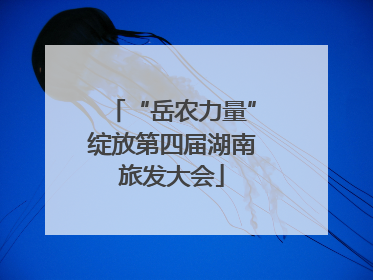 “岳农力量”绽放第四届湖南旅发大会