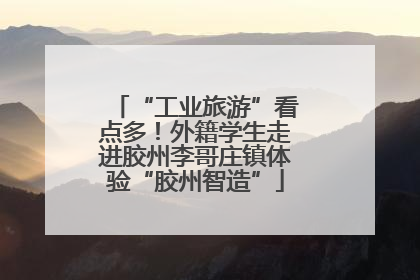“工业旅游”看点多！外籍学生走进胶州李哥庄镇体验“胶州智造”
