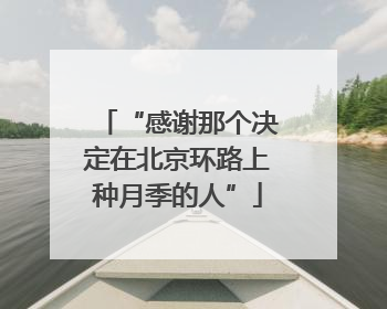 “感谢那个决定在北京环路上种月季的人”