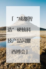 “成都智造”硬核科技产品闪耀西博会
