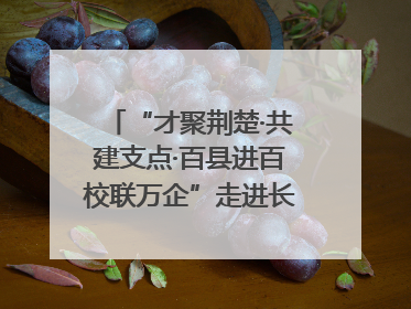 “才聚荆楚·共建支点·百县进百校联万企”走进长江大学文理学院