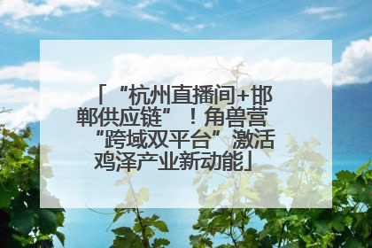 “杭州直播间+邯郸供应链”！角兽营“跨域双平台”激活鸡泽产业新动能