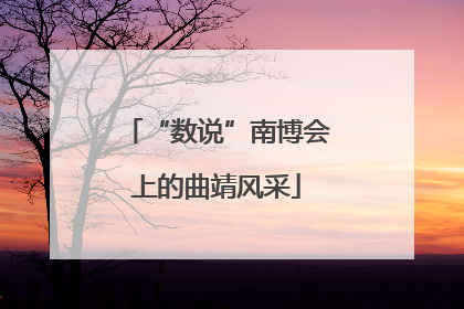 “数说”南博会上的曲靖风采