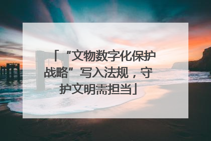 “文物数字化保护战略”写入法规，守护文明需担当