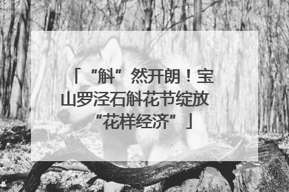 “斛”然开朗！宝山罗泾石斛花节绽放“花样经济”