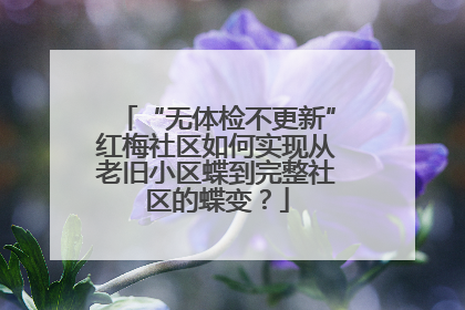 “无体检不更新”红梅社区如何实现从老旧小区蝶到完整社区的蝶变？