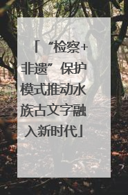 “检察+非遗”保护模式推动水族古文字融入新时代