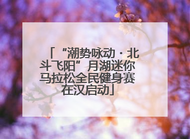 “潮势咏动・北斗飞阳”月湖迷你马拉松全民健身赛在汉启动