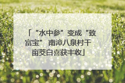 “水中参”变成“致富宝” 南漳八泉村千亩茭白喜获丰收