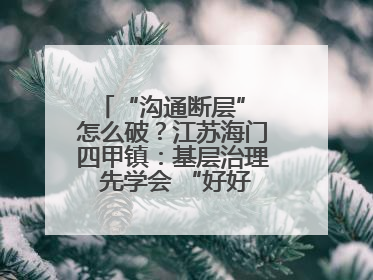 “沟通断层” 怎么破？江苏海门四甲镇：基层治理 先学会 “好好说话”