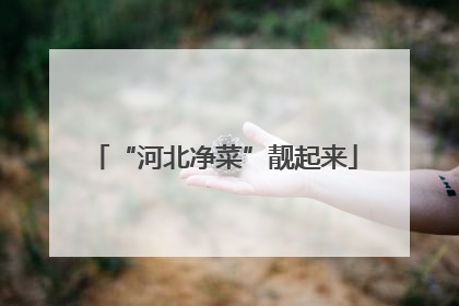 “河北净菜”靓起来